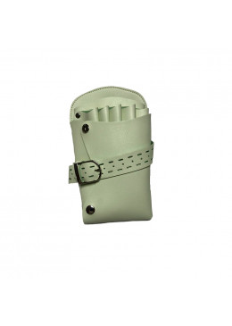 ETUI VERT POMME
